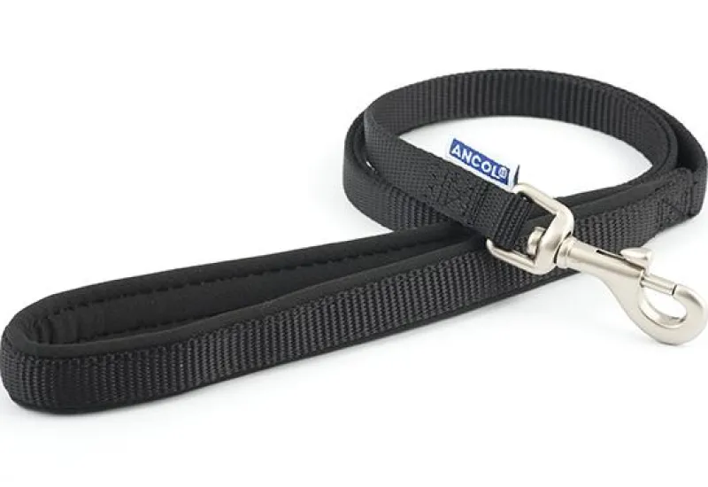 Ancol Pet Products Collars And Leads<Ancol Padded Nylon Lead