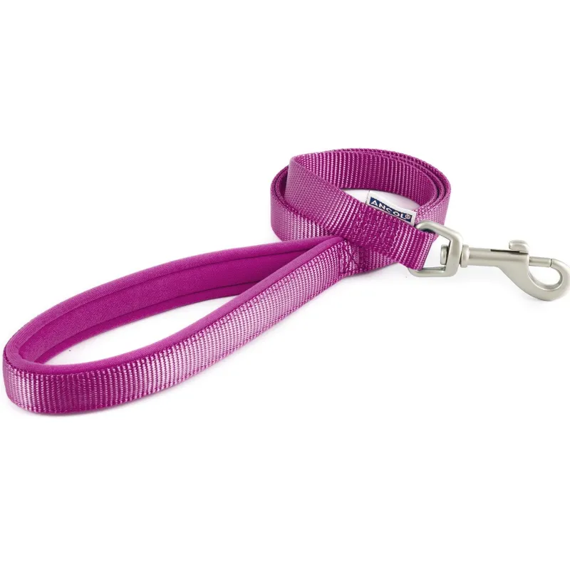 Ancol Pet Products Collars And Leads<Ancol Padded Nylon Lead