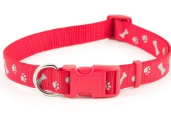Ancol Pet Products Collars And Leads<Ancol Paw & Bone Collar