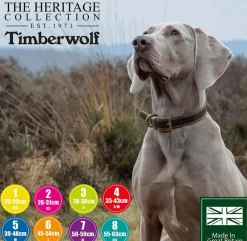 Ancol Pet Products Collars And Leads<Ancol Timberwolf Leather Collar
