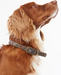 Barbour Collars And Leads<Classic Tartan Leather Dog Collar