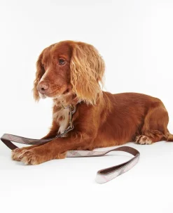 Barbour Collars And Leads<Reflective Dog Lead