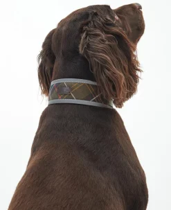 Barbour Collars And Leads<Reflective Tartan Comfort Dog Collar