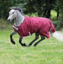 Bucas Turnout Rugs<Atlantic Exclusive 0g Light Turnout Rug