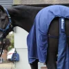 Bucas Horse Wear Accessories<Tail Protector Bag