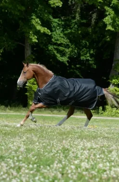 Bucas Turnout Rugs<Trot 200g Turnout Rug