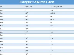 Champion Hats Riding Hats|Riding Hats<Champion X-Air Plus Jockey Skull