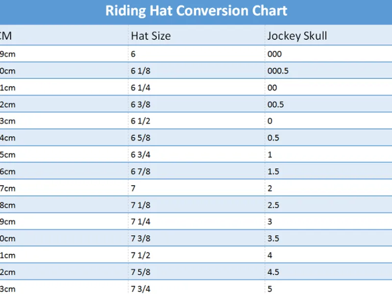 Champion Hats Riding Hats|Riding Hats<Champion X-Air Plus Jockey Skull