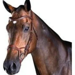 Weatherbeeta Bridles<Collegiate Comfitec Training Bridle