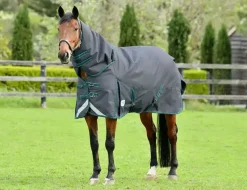Weatherbeeta Horse Rug Accessories|Turnout Rugs<ComFiTec Plus Dynamic II Detach-A-Neck Medium/Lite