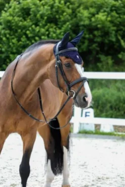 Covalliero Horse Wear Accessories<Fly Hood SS22