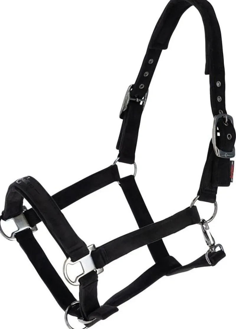 Zebra Products Head Collars<Covalliero Velvet Headcollar AW23