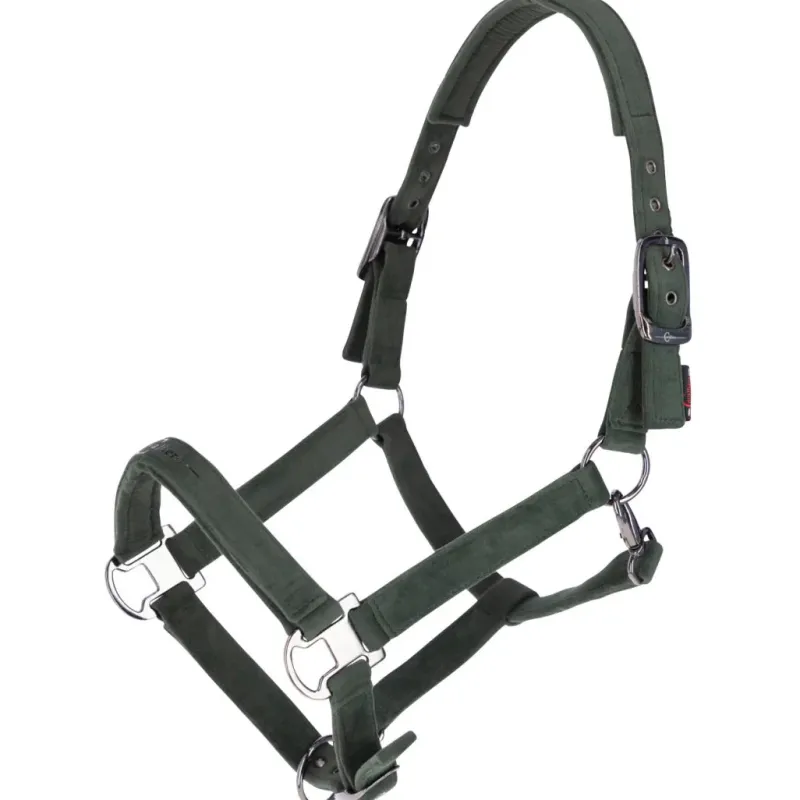 Zebra Products Head Collars<Covalliero Velvet Headcollar AW23