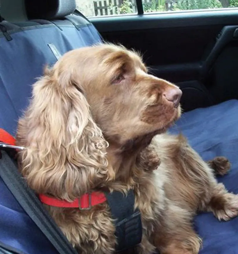 Danish Design Dog Beds & Blankets<Car Seat Cover Navy