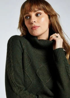 Dubarry of Ireland Sweaters & Jumpers|Sweaters & Jumpers<Dubarry Women's Belleek Chunky Roll Neck Sweater
