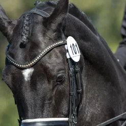Equetech Number Holders|Bridle Parts<Bridle Numbers