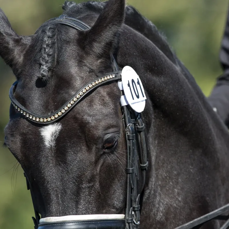 Equetech Number Holders|Bridle Parts<Bridle Numbers