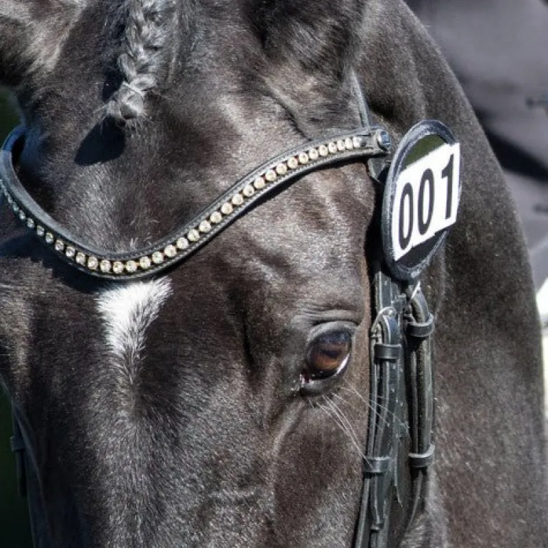 Equetech Number Holders|Bridle Parts<Bridle Numbers