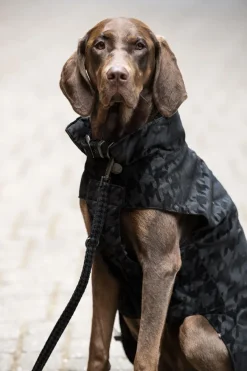 Eskadron Collars And Leads<Essence Dog Set - Lead and Collar