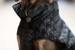 Eskadron Dog Coats<Essence Velvet Stamp Dog Coat