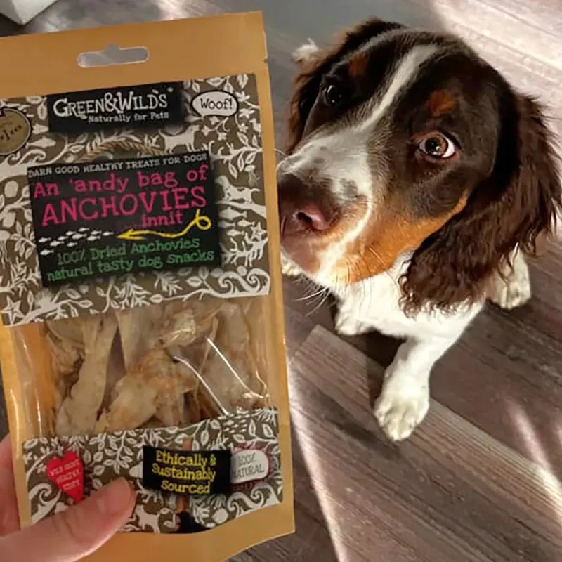 Green u0026 Wild's Dog Treats|Dog Treats<Green & Wild's An 'Andy Bag Of Anchovies