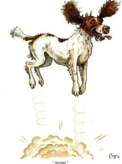 Charles Sainsbury Plaice Stationery<Greeting Card - Springer by Bryn Parry