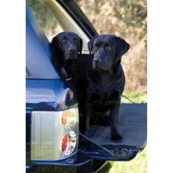 Charles Sainsbury Plaice Stationery<Greeting Card - Working Dogs by Charles Sainsbury-Plaice