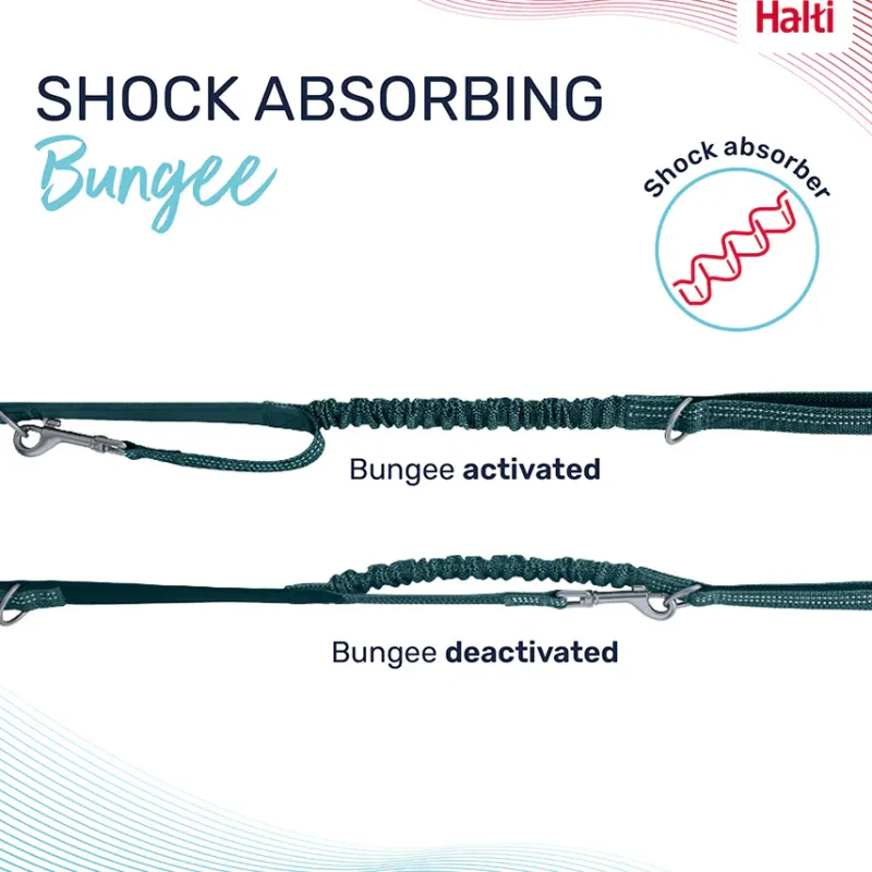 Trilanco Collars And Leads<Halti Anatomy Dog Multi Lead