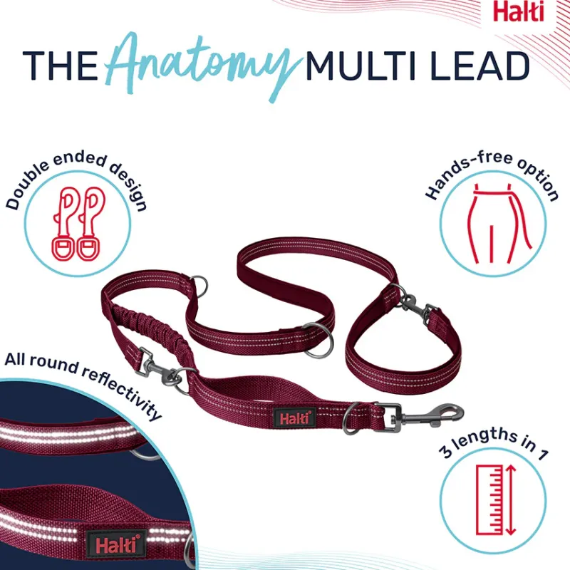 Trilanco Collars And Leads<Halti Anatomy Dog Multi Lead