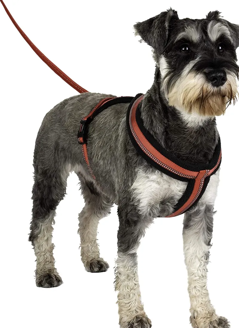 Trilanco Dog Harnesses<Halti Comfy Dog Harness