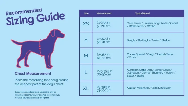 Trilanco Dog Harnesses<Halti Comfy Dog Harness