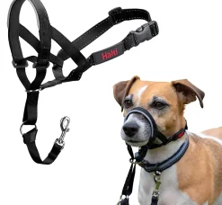 Trilanco Dog Harnesses<Halti Dog Headcollar