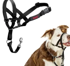 Trilanco Dog Harnesses<Halti Dog Headcollar
