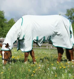 Horseware Stable Rugs<Amigo Aussie Allrounder White/Green