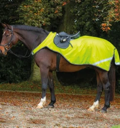 Horseware Exercise Sheets<Amigo Reflective Competition Sheet