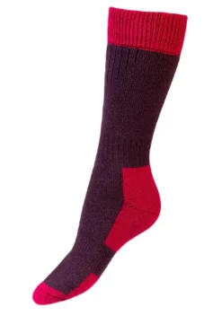 House Of Cheviot Shooting Accessories|Shooting Accessories<Lady Glen Merino/Wool Blend Socks