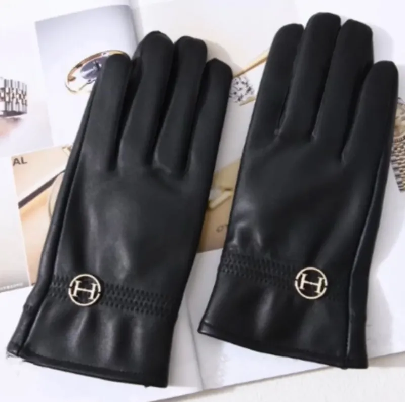 Hunt u0026 Hall Gloves|Gloves<Hunt & Hall Chatsworth Gloves