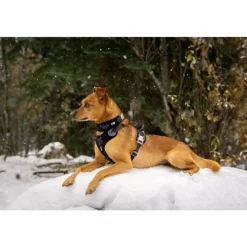 Pedigree Wholesale Dog Harnesses<Hurtta Weekend Warrior Harness