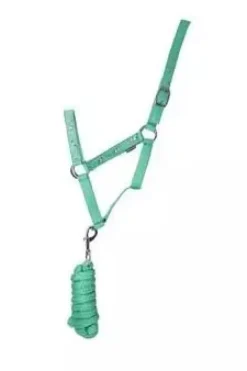 HY Head Collars<Equestrian Competition Ready Head Collar and Lead Rope