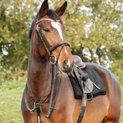 Hy equestrian Martingales<Rosciano Martingale