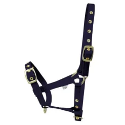 Hy equestrian Head Collars<HY Foal Headcollar