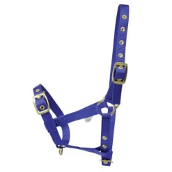 Hy equestrian Head Collars<HY Foal Headcollar