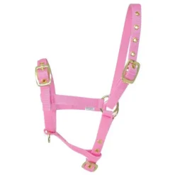 Hy equestrian Head Collars<HY Foal Headcollar