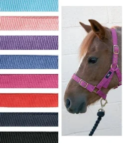 Country Ways Head Collars<Hy Holly Fully Adjustable Head Collar