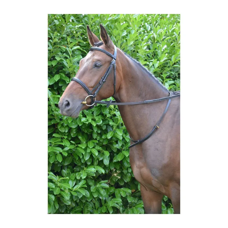 Battles Saddlery Accessories|Martingales<HY Leather Neck Strap