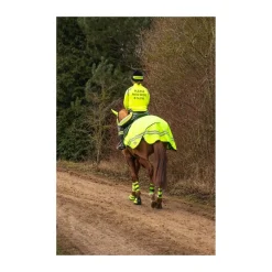 Hy equestrian Horse Wear Accessories|Exercise Sheets<HyVIZ Reflector Exercise Sheet