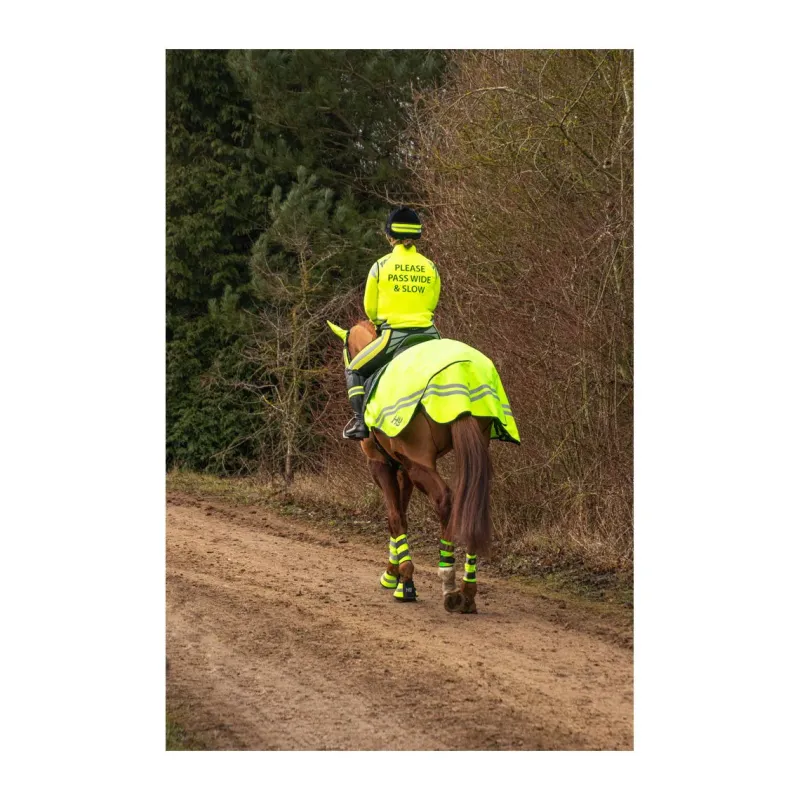 Hy equestrian Horse Wear Accessories|Exercise Sheets<HyVIZ Reflector Exercise Sheet