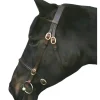 IV Horse Bridles<In Hand Bridle
