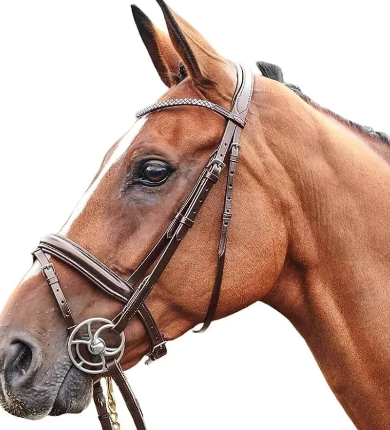 John Whitaker Bridles<Barton Bling Flash Bridle