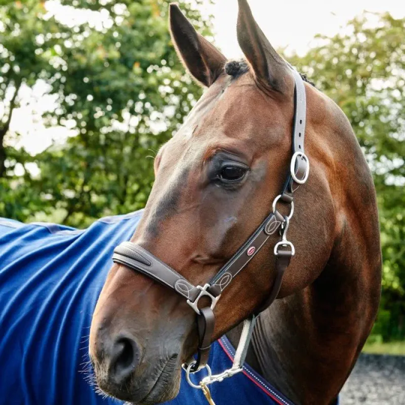 John Whitaker Head Collars<Chicago Leather Headcollar